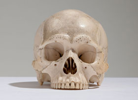 Japanese Ivory Skull by Shosai
